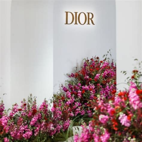 cristian dior pasto